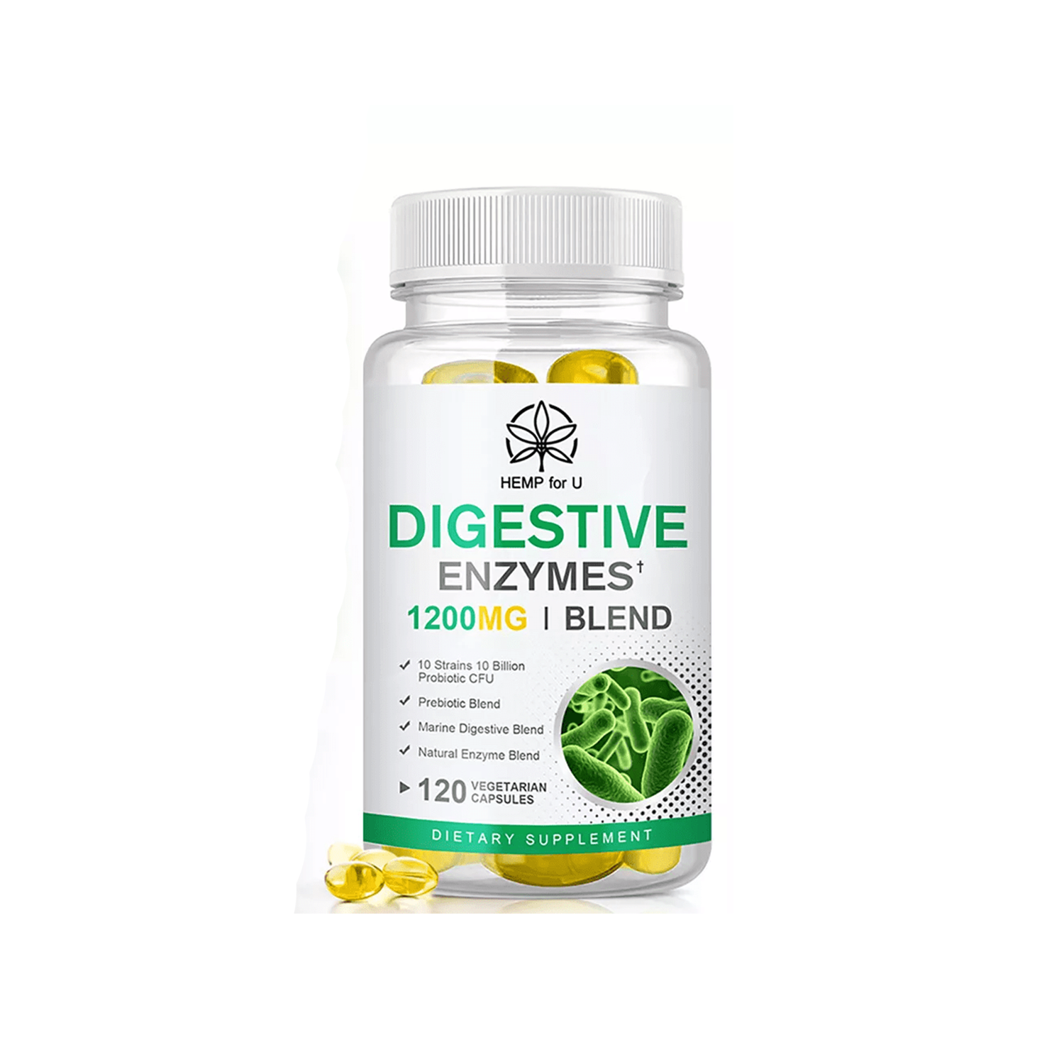 Digestive Enzymes